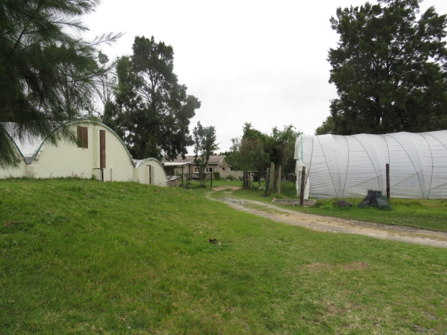 3 Bedroom Property for Sale in Bathurst Eastern Cape